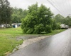239 Morgan Street, Kingwood, West Virginia 26537, ,Lots/land,For Sale,Morgan,10159983