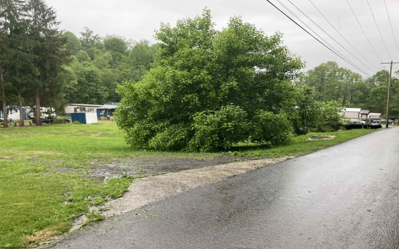 239 Morgan Street, Kingwood, West Virginia 26537, ,Lots/land,For Sale,Morgan,10159983