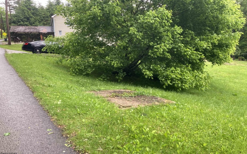 239 Morgan Street, Kingwood, West Virginia 26537, ,Lots/land,For Sale,Morgan,10159983