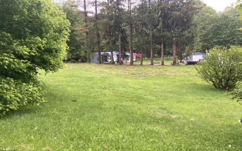 239 Morgan Street, Kingwood, West Virginia 26537, ,Lots/land,For Sale,Morgan,10159983