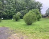 239 Morgan Street, Kingwood, West Virginia 26537, ,Lots/land,For Sale,Morgan,10159983