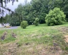 239 Morgan Street, Kingwood, West Virginia 26537, ,Lots/land,For Sale,Morgan,10159983