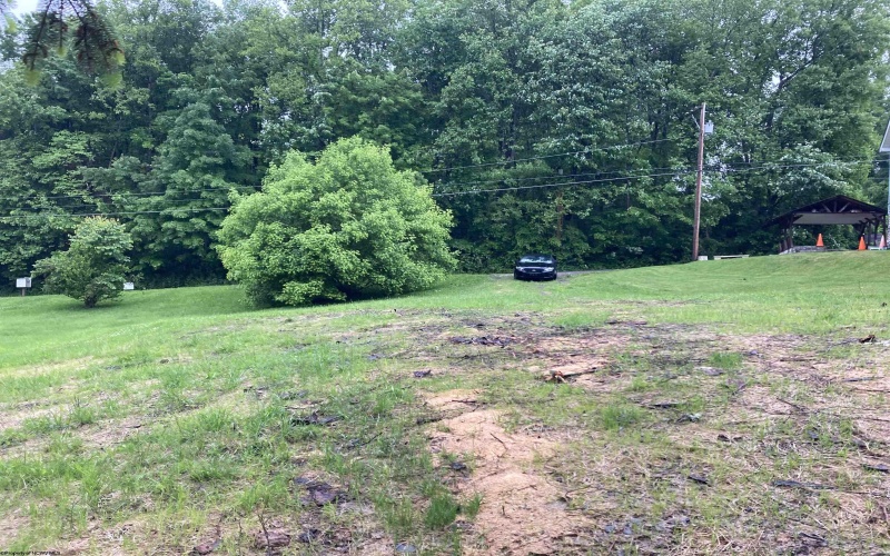 239 Morgan Street, Kingwood, West Virginia 26537, ,Lots/land,For Sale,Morgan,10159983