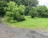 239 Morgan Street, Kingwood, West Virginia 26537, ,Lots/land,For Sale,Morgan,10159983
