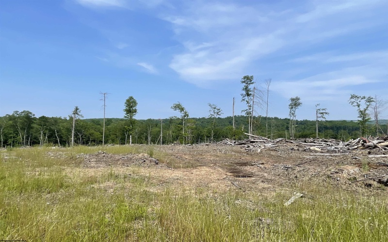Lot 18 Hanlin Road, Bruceton Mills, West Virginia 26525-0000, ,Lots/land,For Sale,Hanlin,10160008