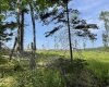 Lot 19 Hanlin Road, Bruceton Mills, West Virginia 26525-0000, ,Lots/land,For Sale,Hanlin,10160009