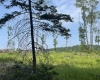 Lot 19 Hanlin Road, Bruceton Mills, West Virginia 26525-0000, ,Lots/land,For Sale,Hanlin,10160009
