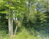 Lot 20 Hanlin Road, Bruceton Mills, West Virginia 26525-0000, ,Lots/land,For Sale,Hanlin,10160010