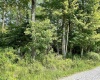 Lot 20 Hanlin Road, Bruceton Mills, West Virginia 26525-0000, ,Lots/land,For Sale,Hanlin,10160010