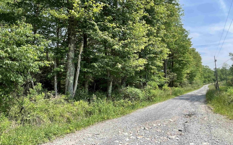 Lot 20 Hanlin Road, Bruceton Mills, West Virginia 26525-0000, ,Lots/land,For Sale,Hanlin,10160010