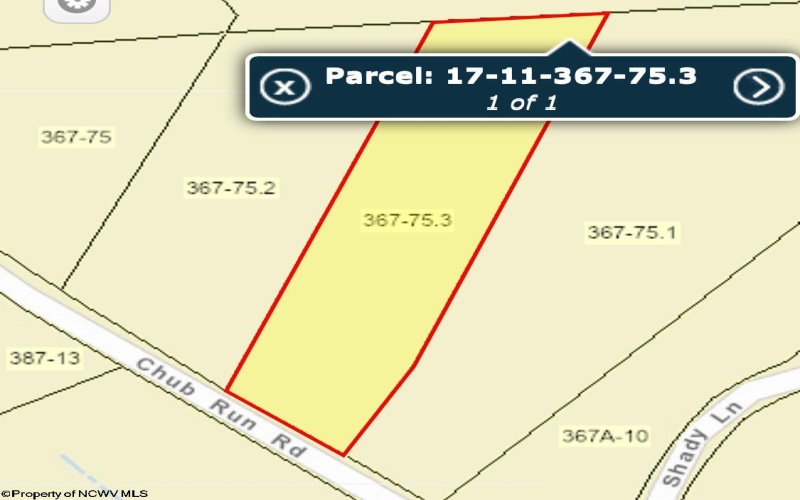 1163 Chub Run Road, Mount Clare, West Virginia 26408, ,Lots/land,For Sale,Chub Run,10160032