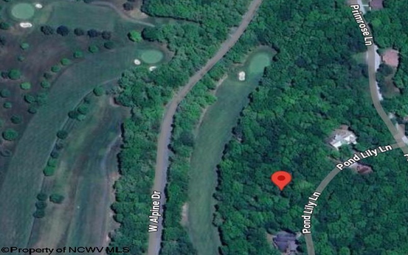 283 Pond Lily Lane, Terra Alta, West Virginia 26764, ,Lots/land,For Sale,Pond Lily,10160041