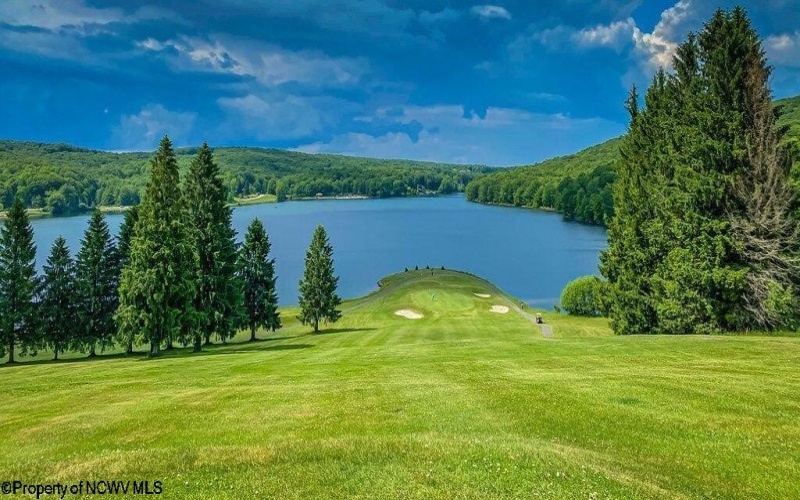 283 Pond Lily Lane, Terra Alta, West Virginia 26764, ,Lots/land,For Sale,Pond Lily,10160041