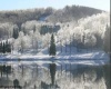 283 Pond Lily Lane, Terra Alta, West Virginia 26764, ,Lots/land,For Sale,Pond Lily,10160041