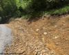 1511 Adolph Cassity Road, Mabie, West Virginia 26278, ,Lots/land,For Sale,Adolph Cassity,10160045