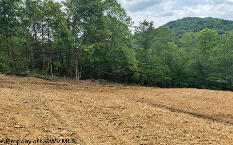 1511 Adolph Cassity Road, Mabie, West Virginia 26278, ,Lots/land,For Sale,Adolph Cassity,10160045