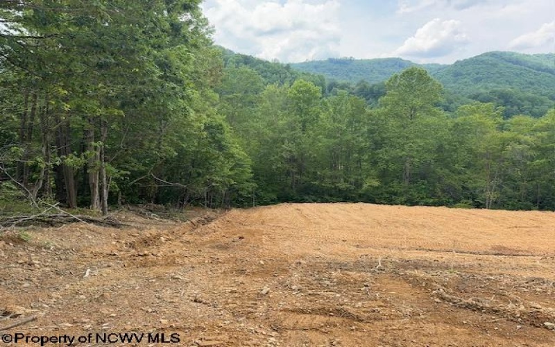 1511 Adolph Cassity Road, Mabie, West Virginia 26278, ,Lots/land,For Sale,Adolph Cassity,10160045