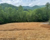 1511 Adolph Cassity Road, Mabie, West Virginia 26278, ,Lots/land,For Sale,Adolph Cassity,10160045