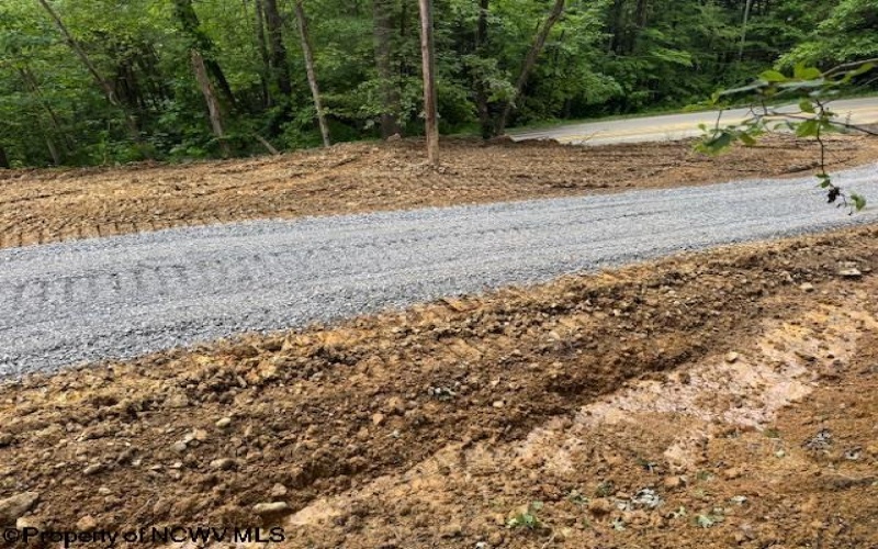 1511 Adolph Cassity Road, Mabie, West Virginia 26278, ,Lots/land,For Sale,Adolph Cassity,10160045