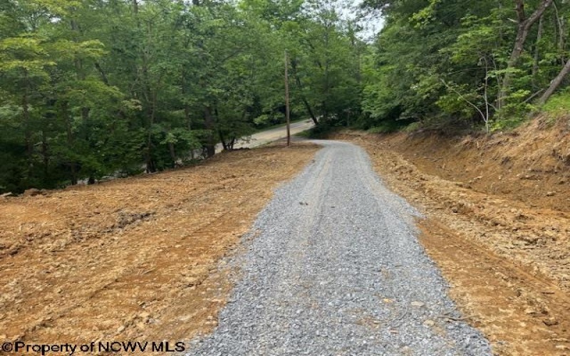 1511 Adolph Cassity Road, Mabie, West Virginia 26278, ,Lots/land,For Sale,Adolph Cassity,10160045