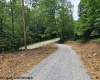 1511 Adolph Cassity Road, Mabie, West Virginia 26278, ,Lots/land,For Sale,Adolph Cassity,10160045