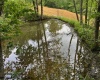 1511 Adolph Cassity Road, Mabie, West Virginia 26278, ,Lots/land,For Sale,Adolph Cassity,10160045