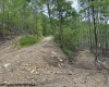 1511 Adolph Cassity Road, Mabie, West Virginia 26278, ,Lots/land,For Sale,Adolph Cassity,10160045