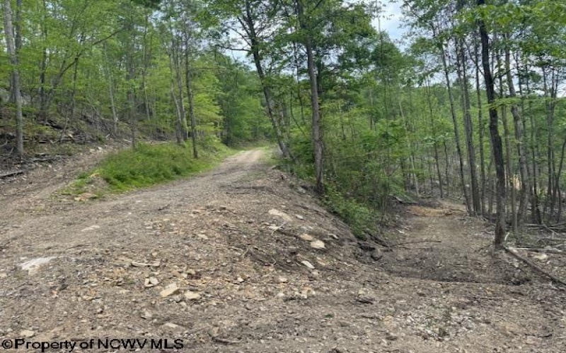 1511 Adolph Cassity Road, Mabie, West Virginia 26278, ,Lots/land,For Sale,Adolph Cassity,10160045
