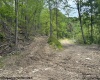 1511 Adolph Cassity Road, Mabie, West Virginia 26278, ,Lots/land,For Sale,Adolph Cassity,10160045