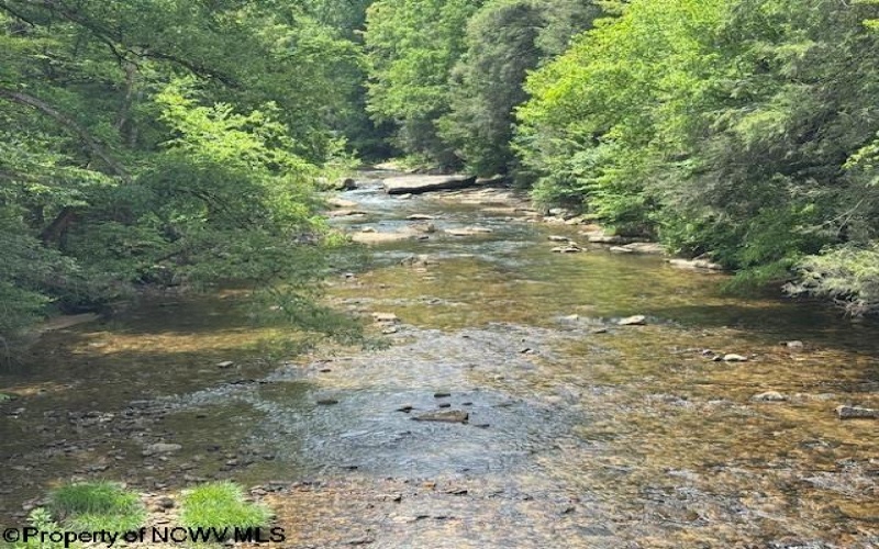 1511 Adolph Cassity Road, Mabie, West Virginia 26278, ,Lots/land,For Sale,Adolph Cassity,10160045