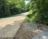 1511 Adolph Cassity Road, Mabie, West Virginia 26278, ,Lots/land,For Sale,Adolph Cassity,10160045