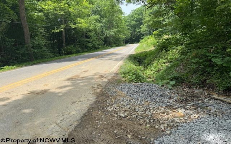 1511 Adolph Cassity Road, Mabie, West Virginia 26278, ,Lots/land,For Sale,Adolph Cassity,10160045
