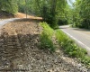 1511 Adolph Cassity Road, Mabie, West Virginia 26278, ,Lots/land,For Sale,Adolph Cassity,10160045