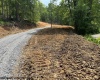 1511 Adolph Cassity Road, Mabie, West Virginia 26278, ,Lots/land,For Sale,Adolph Cassity,10160045
