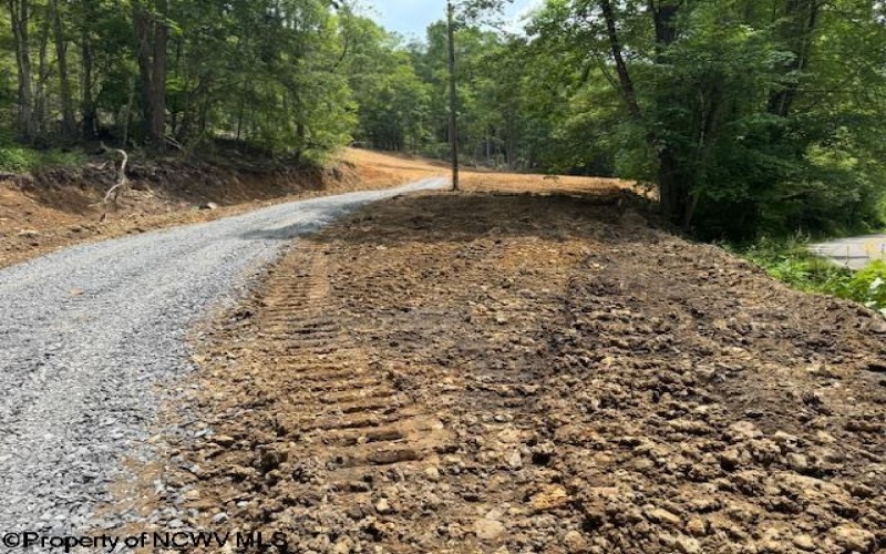 1511 Adolph Cassity Road, Mabie, West Virginia 26278, ,Lots/land,For Sale,Adolph Cassity,10160045