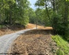 1511 Adolph Cassity Road, Mabie, West Virginia 26278, ,Lots/land,For Sale,Adolph Cassity,10160045