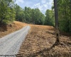 1511 Adolph Cassity Road, Mabie, West Virginia 26278, ,Lots/land,For Sale,Adolph Cassity,10160045