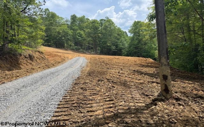 1511 Adolph Cassity Road, Mabie, West Virginia 26278, ,Lots/land,For Sale,Adolph Cassity,10160045
