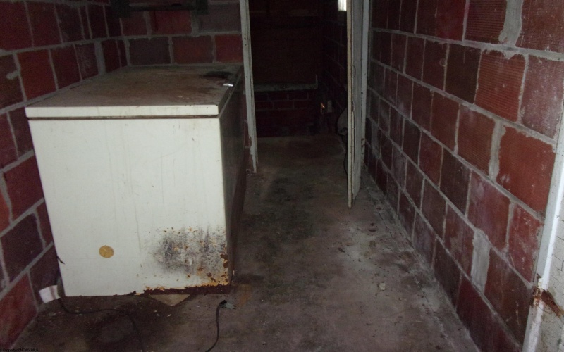 333 Buckhannon Mountain Road, Buckhannon, West Virginia 26201, 2 Bedrooms Bedrooms, 6 Rooms Rooms,1 BathroomBathrooms,Single Family Detached,For Sale,Buckhannon Mountain,10160046