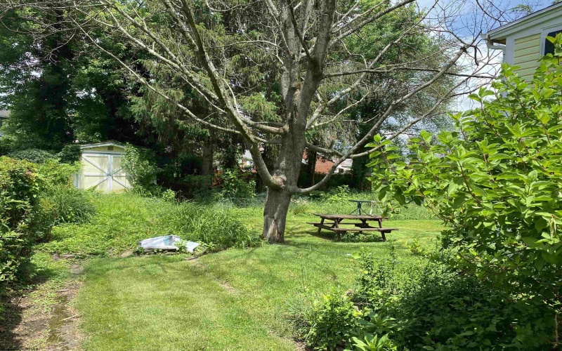 28 Central Avenue, Buckhannon, West Virginia 26201-4033, 5 Bedrooms Bedrooms, 10 Rooms Rooms,2 BathroomsBathrooms,Single Family Detached,For Sale,Central,10160054