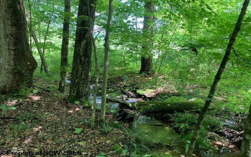 2590 Barbour County Highway, Belington, West Virginia 26250, 2 Bedrooms Bedrooms, 6 Rooms Rooms,1 BathroomBathrooms,Single Family Detached,For Sale,Barbour County,10160068