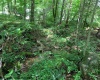 2590 Barbour County Highway, Belington, West Virginia 26250, 2 Bedrooms Bedrooms, 6 Rooms Rooms,1 BathroomBathrooms,Single Family Detached,For Sale,Barbour County,10160068