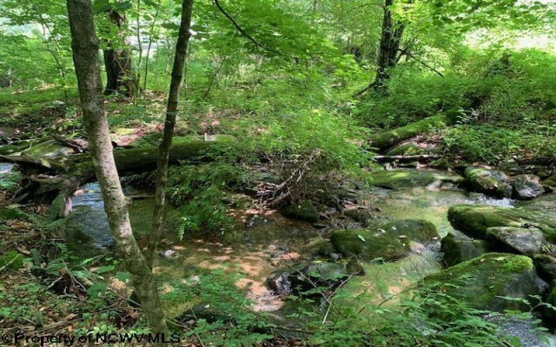 2590 Barbour County Highway, Belington, West Virginia 26250, 2 Bedrooms Bedrooms, 6 Rooms Rooms,1 BathroomBathrooms,Single Family Detached,For Sale,Barbour County,10160068