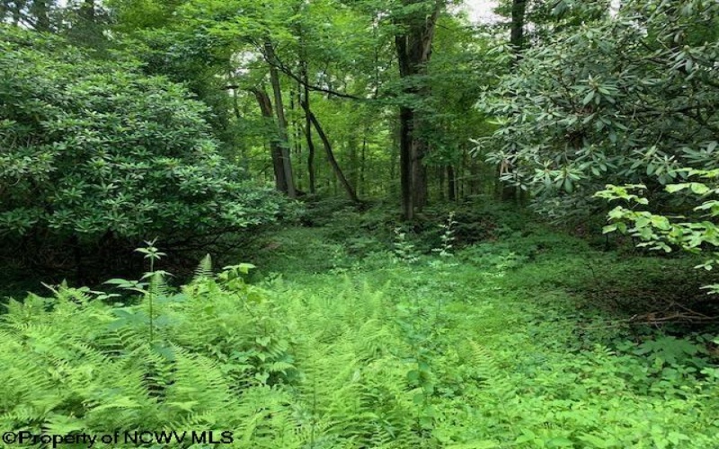 2590 Barbour County Highway, Belington, West Virginia 26250, 2 Bedrooms Bedrooms, 6 Rooms Rooms,1 BathroomBathrooms,Single Family Detached,For Sale,Barbour County,10160068
