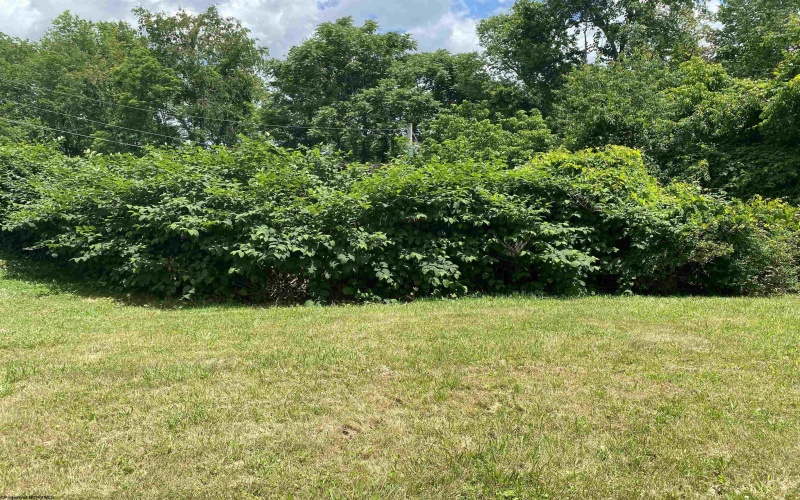 TBD High Avenue, Bridgeport, West Virginia 26330, ,Lots/land,For Sale,High,10160064