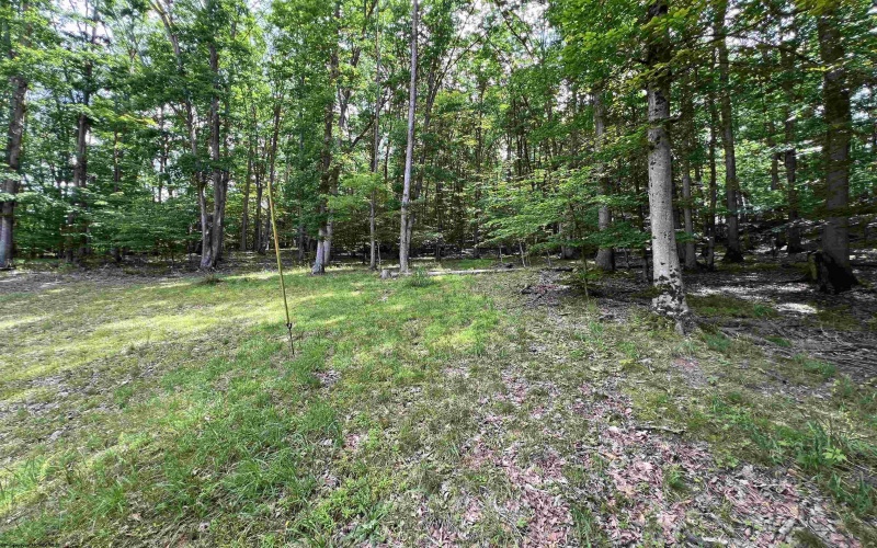 60 Saras Way, Beverly, West Virginia 26253, 3 Bedrooms Bedrooms, 10 Rooms Rooms,2 BathroomsBathrooms,Single Family Detached,For Sale,Saras,10160072