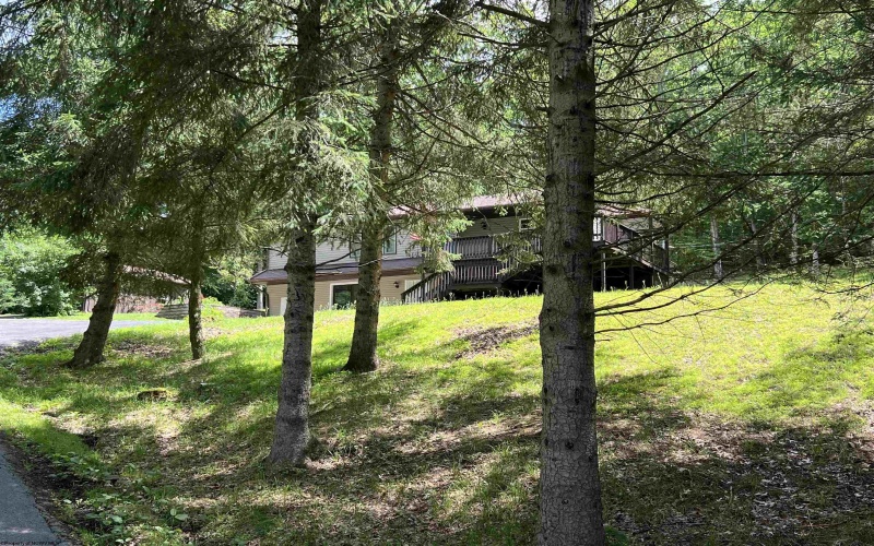 60 Saras Way, Beverly, West Virginia 26253, 3 Bedrooms Bedrooms, 10 Rooms Rooms,2 BathroomsBathrooms,Single Family Detached,For Sale,Saras,10160072