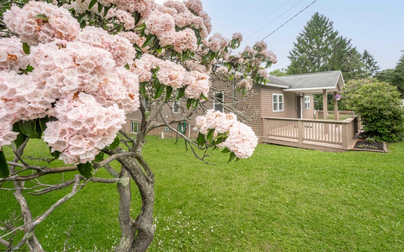 2228 Dinnerbell Five Forks Road, Farmington, Pennsylvania 15437, 3 Bedrooms Bedrooms, 5 Rooms Rooms,2 BathroomsBathrooms,Single Family Detached,For Sale,Dinnerbell Five Forks,10160073