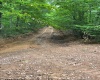 TBD Weirlong Road, Clendenin, West Virginia 25045, ,Lots/land,For Sale,Weirlong,10160088