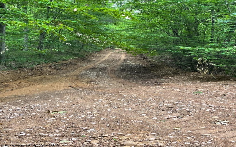 TBD Weirlong Road, Clendenin, West Virginia 25045, ,Lots/land,For Sale,Weirlong,10160088
